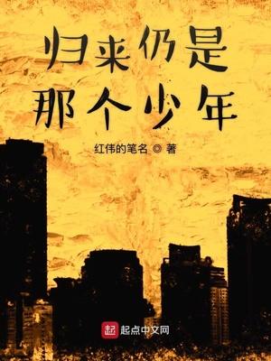 归来还是那个少年歌词