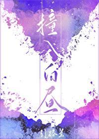 撞入白昼讲什么