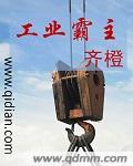 工业霸主林振华和谁好了