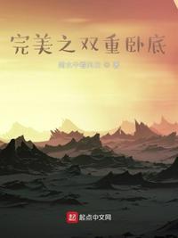 双重卧底叫什么