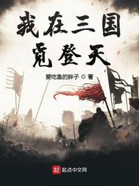 我在三国觅登天 聚合中文网