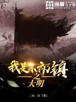 大明之我是朱祁镇无错版本