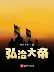 弘治大帝epub 百度