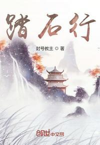 踏石行动全文免费阅读