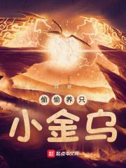 偷偷养只小金乌TXT精校