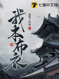 我本布衣女装是名牌吗