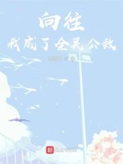 向往之全民公敌