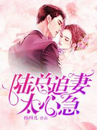 陆总又在追妻txt