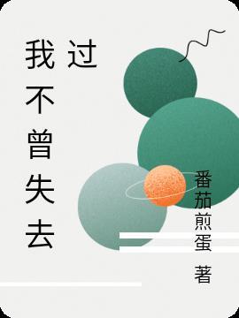 我从不曾失去那些肩膀什么意思