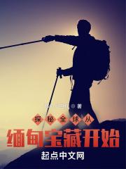 缅甸挖洞进入云南