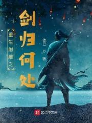 重生射雕之剑归何处大结局