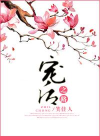宠后之路笑佳人书评