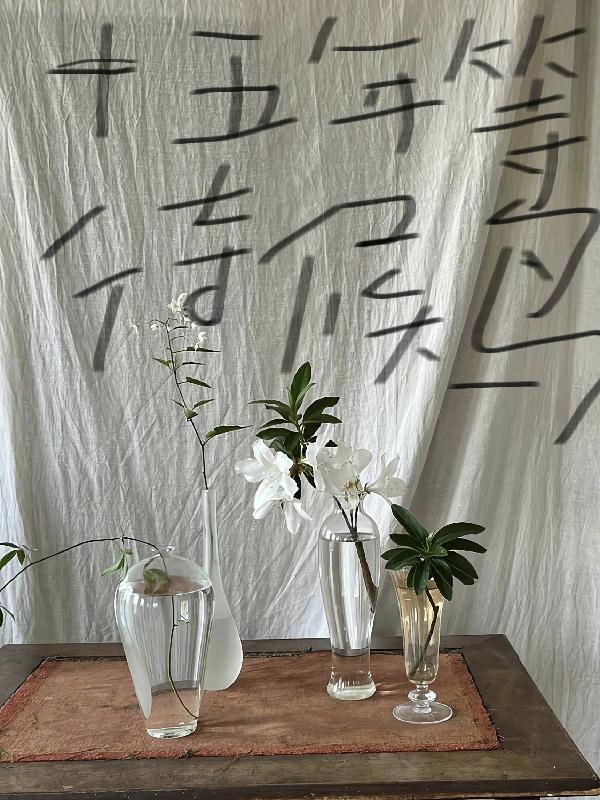 十五年等待候鸟原名