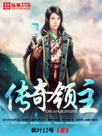 传奇领主 steam
