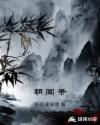 朝闻录免费观看