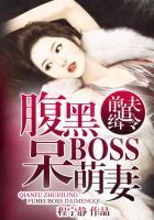 前夫追缉令腹黑boss呆萌妻诺兰