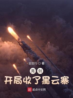 亮剑开局收了黑云寨txt