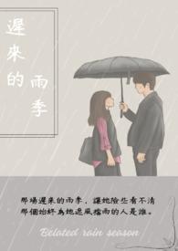 迟来的雨季1-100集免费