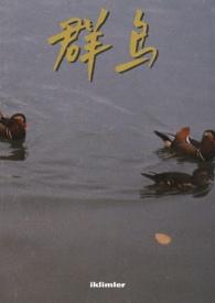 群鸟举步游戏在哪玩