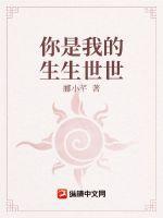 我是你的生生世世电视剧