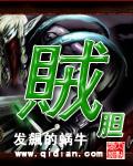 贼胆精校版