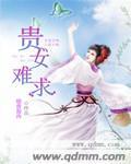 贵女难求许明婉沈昭