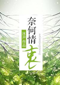 奈何情衷by沐言全文免费阅读