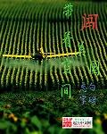 带着空间闯美国-顶点