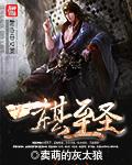 出棋至圣游戏