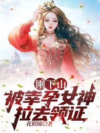 被幸孕女神拉去领证全部目录
