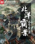 北洋啥意思