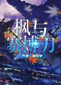 赛博志 风刃