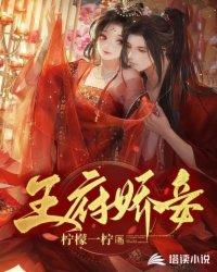 王府娇妾柠檬依柠