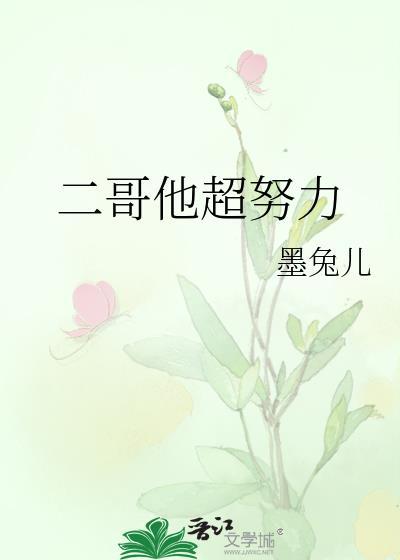 二哥他超努力讲的什么故事