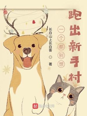 我在新手村卖情报书包网