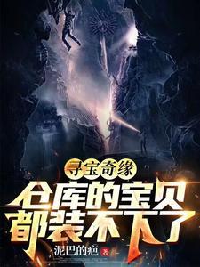 寻宝奇缘仓库的宝贝都装不下了免费观看