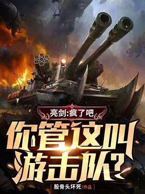 亮剑疯了吧你管这叫游击队全文阅读
