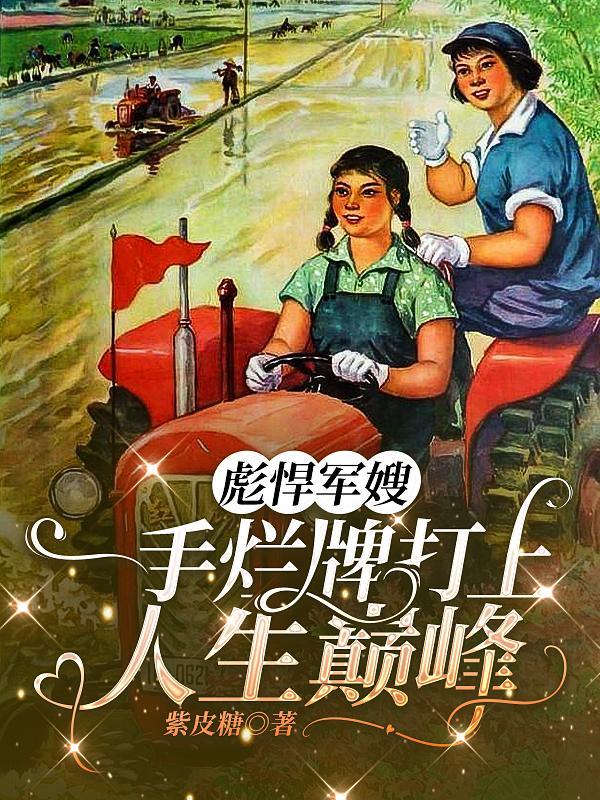 一手烂牌打上人生巅峰列表 作者紫皮糖