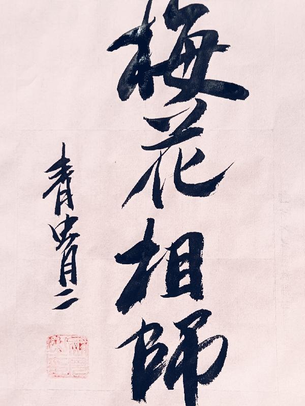 什么是梅花相位