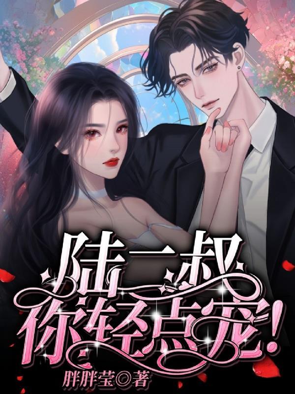 陆二叔你轻点宠