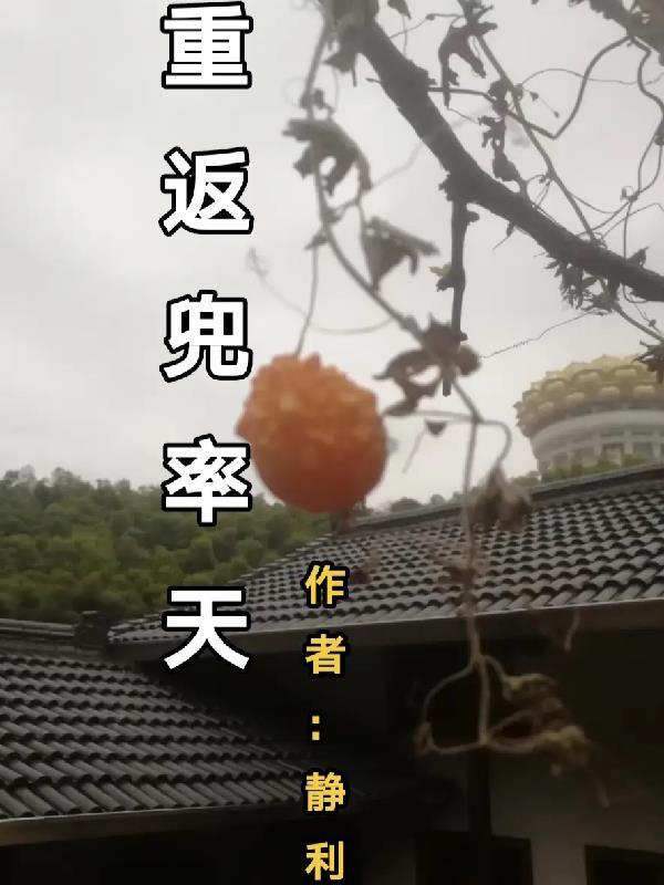 重返兜率天禅定坐禅实践概论原文