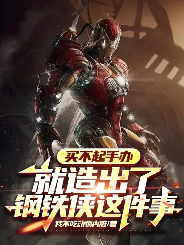 买不起手办就造出了钢铁侠这件事TXT