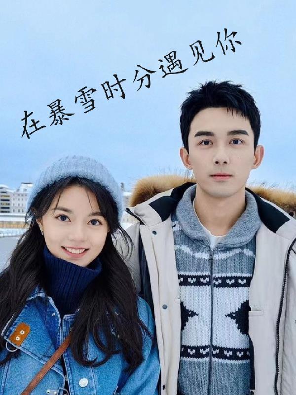 在暴雪时分全文