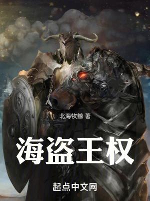 海盗王权TXT八零