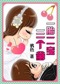 穿越一胎三宝胎两个爹