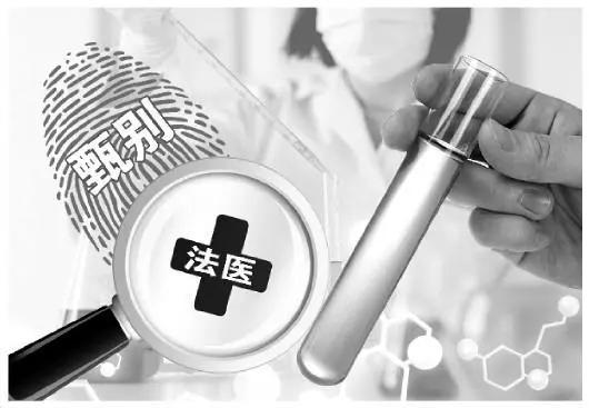 重生法医娇妻别黑化