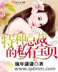 总裁的私有宝贝电视