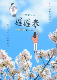 迟迟春日弄轻柔全诗译文
