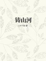 电视剧一片丹心铸山河