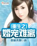 重生之婚宠难离抄袭的那本